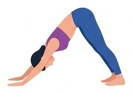 Adho Mukha Svanasana