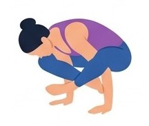 Bhujapidasana