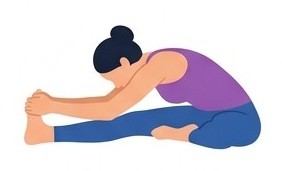 Janu Sirsasana C