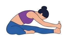 Janu Sirsasana