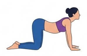 Marjaryasana-Bitilasana