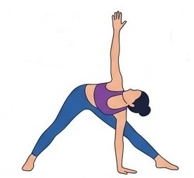 Parivrtta Trikonasana
