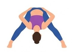 Prasarita Padottanasana B
