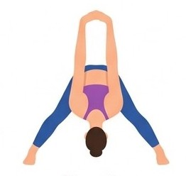 Prasarita Padottanasana C