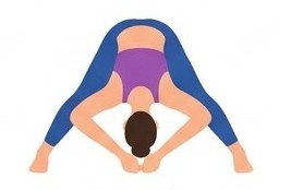 Prasarita Padottanasana D