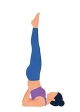 Salamba Sarvangasana