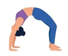 Urdhva Dhanurasana