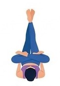 Urdhva Padmasana